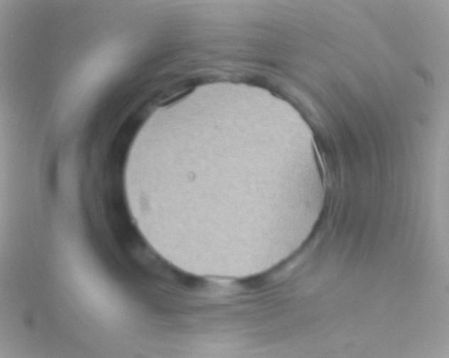 X0000115410429200911241331