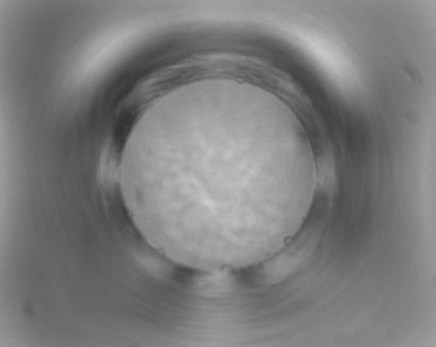 X0000115410431200911241331