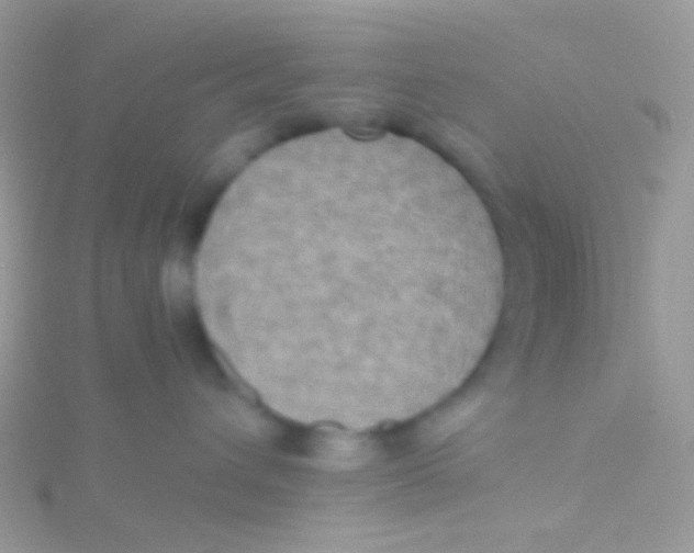 X0000115410432200911241331