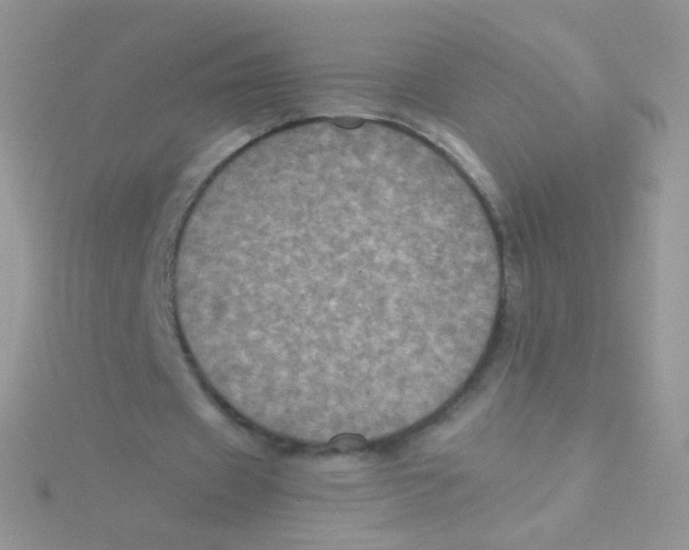 X0000115410433200911241331