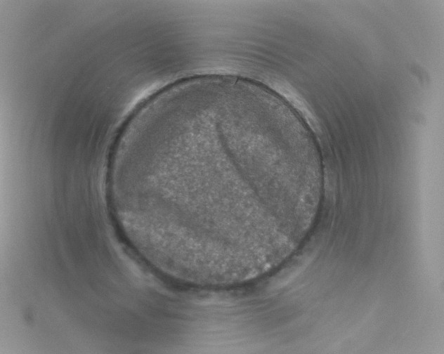 X0000115410434200911241331