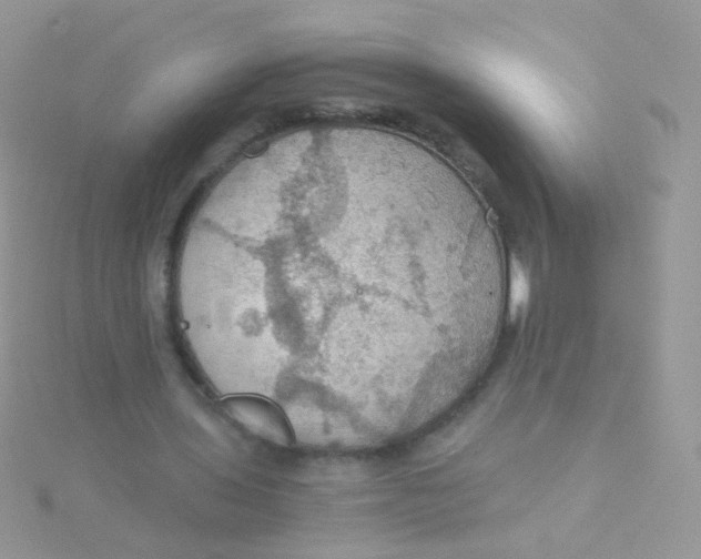 X0000115410435200911241331