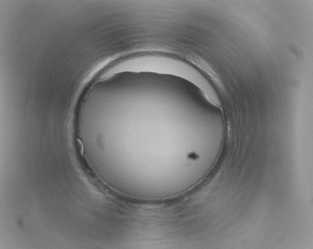 X0000115410436200911241331