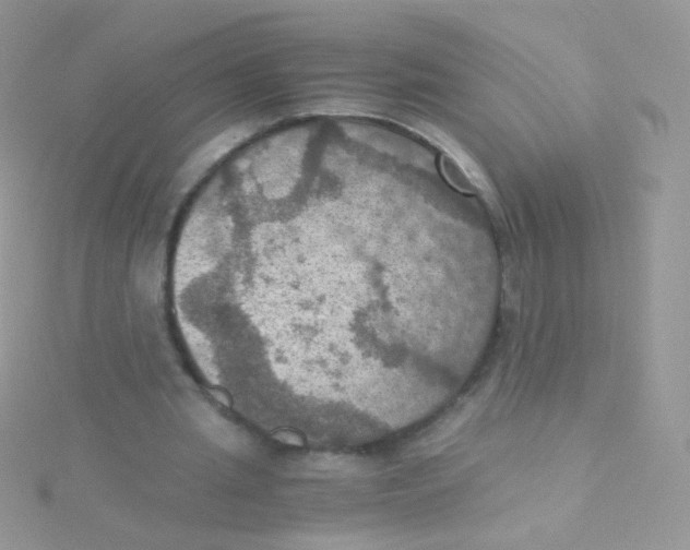 X0000115410437200911241331