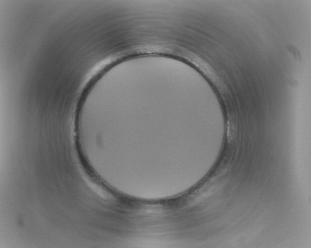 X0000115410438200911241331