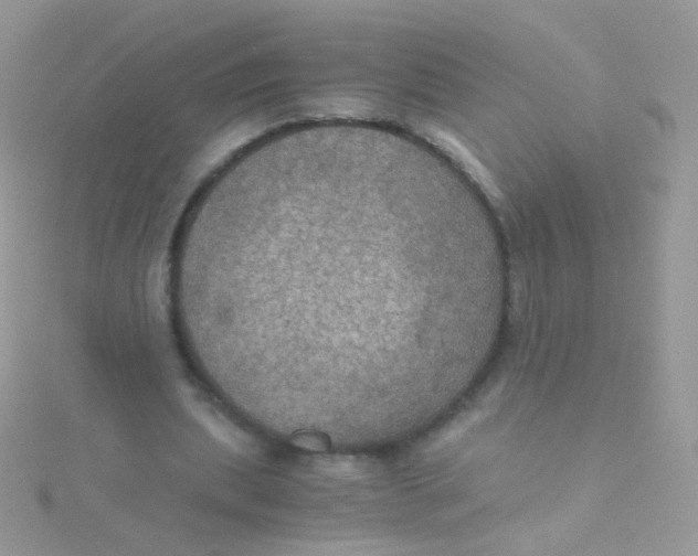 X0000115410439200911241331