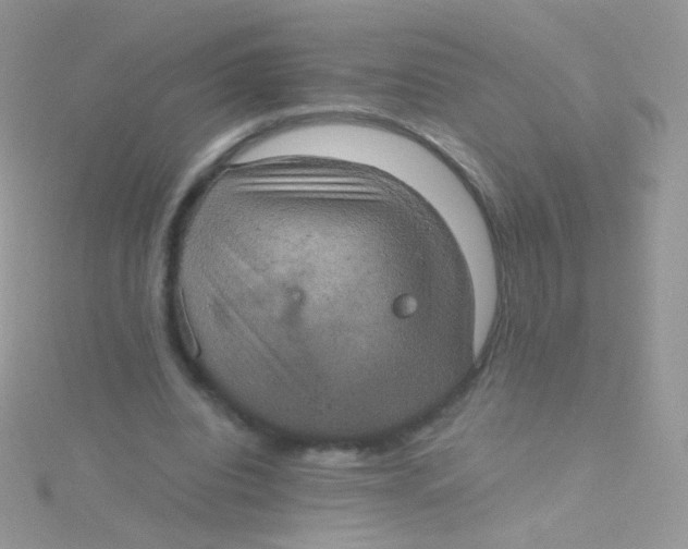 X0000115410440200911241331