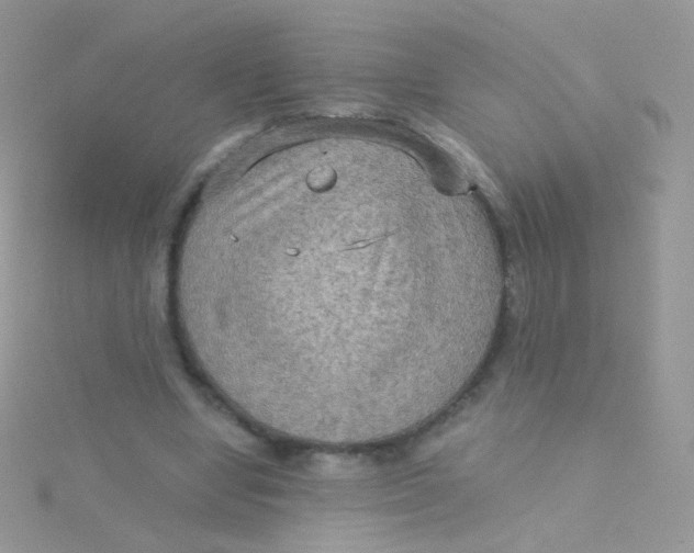 X0000115410442200911241331