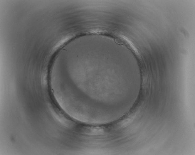 X0000115410443200911241331