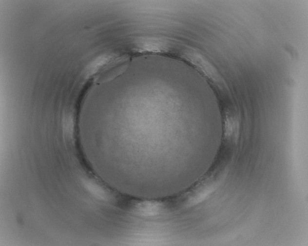 X0000115410444200911241331