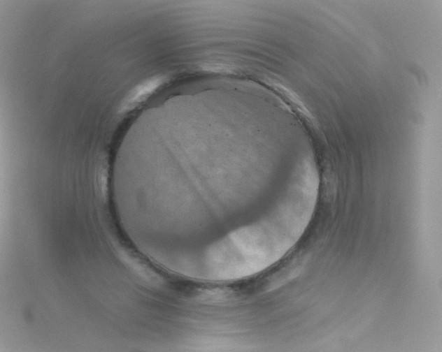 X0000115410446200911241331