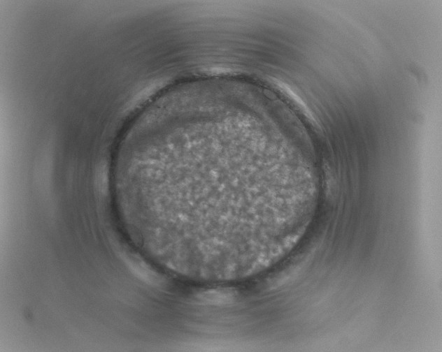 X0000115410447200911241331