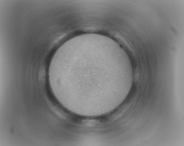 X0000115410448200911241331