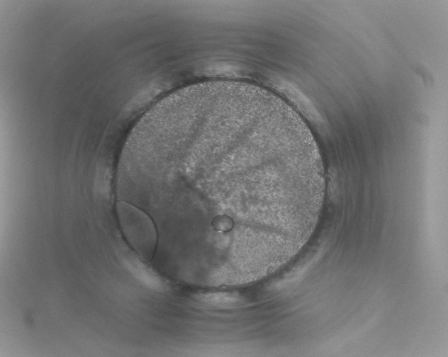 X0000115410449200911241331