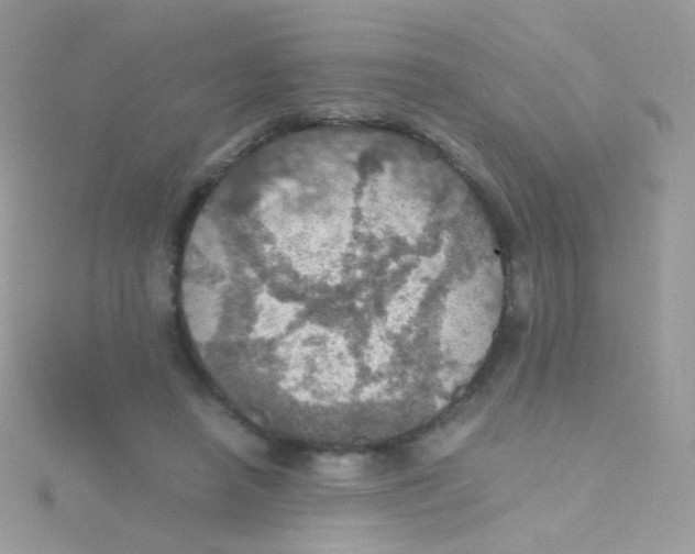 X0000115410450200911241331