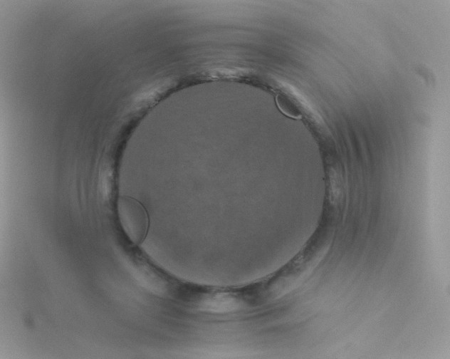 X0000115410451200911241331