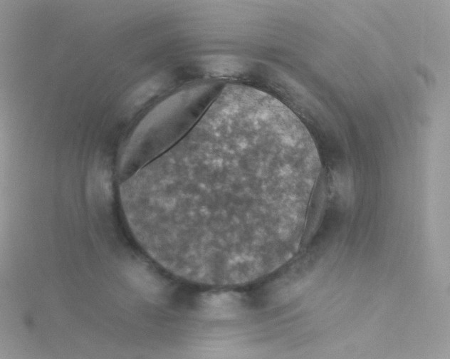 X0000115410452200911241331