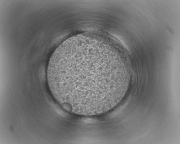 X0000115410453200911241331