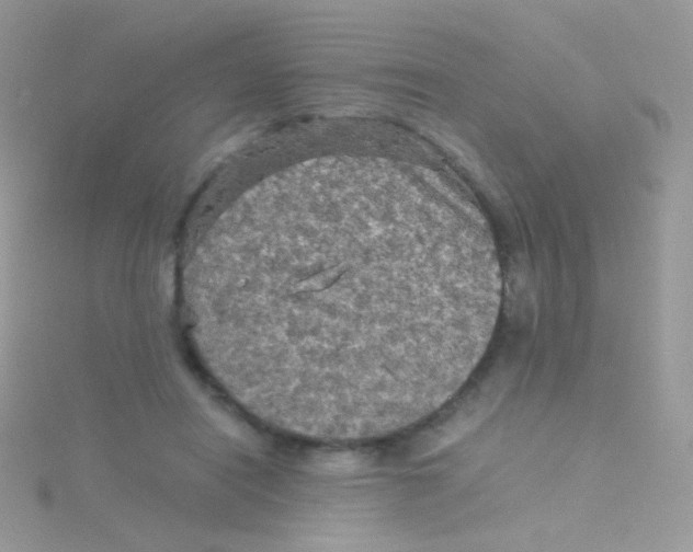 X0000115410454200911241331