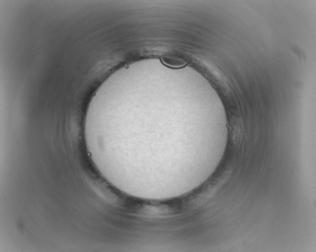 X0000115410455200911241331