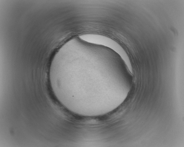 X0000115410456200911241331