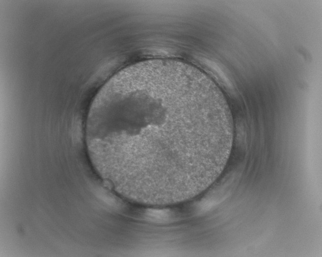 X0000115410457200911241331