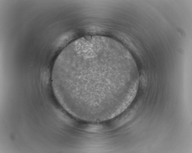 X0000115410458200911241331