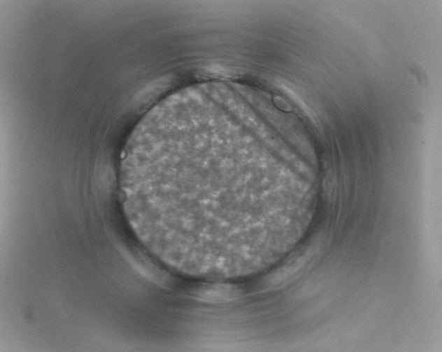 X0000115410459200911241331