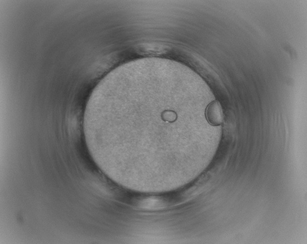 X0000115410460200911241331