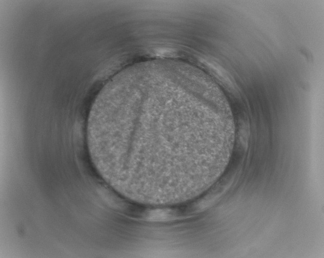 X0000115410461200911241331