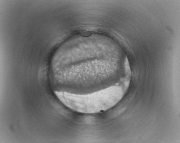 X0000115410462200911241331