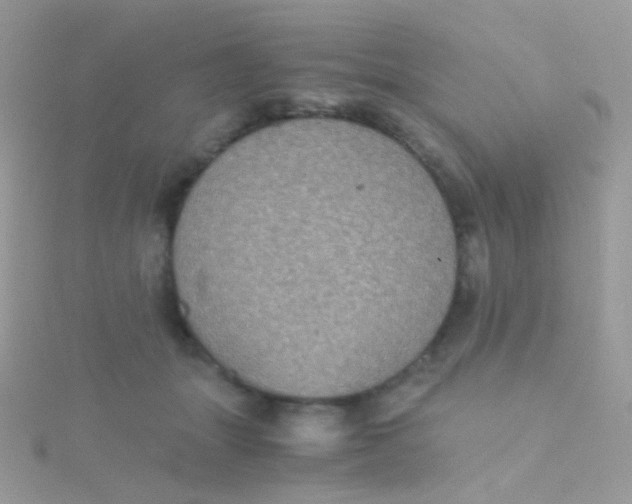 X0000115410463200911241331