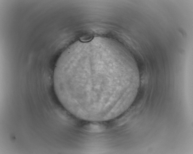 X0000115410464200911241331