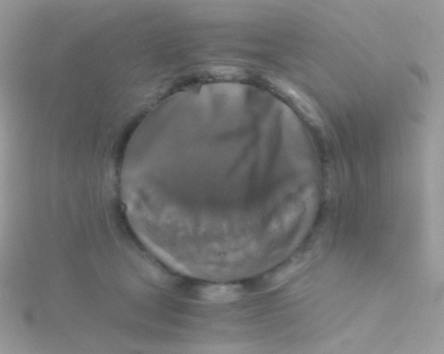 X0000115410465200911241331