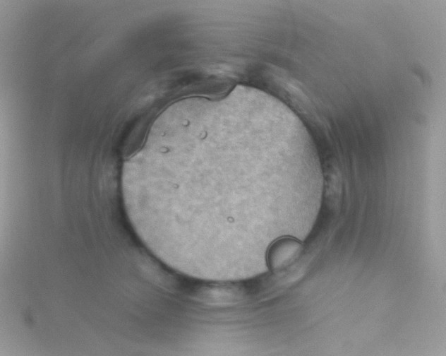 X0000115410466200911241331