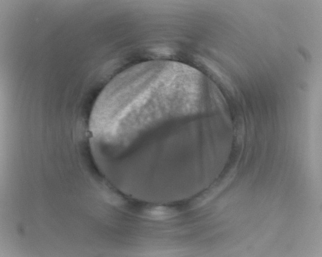 X0000115410467200911241331