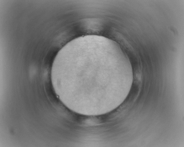 X0000115410468200911241331