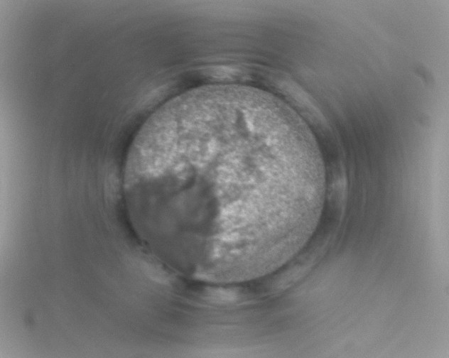 X0000115410469200911241331