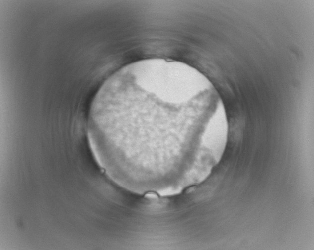 X0000115410474200911241331