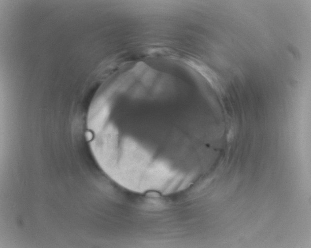 X0000115410475200911241331