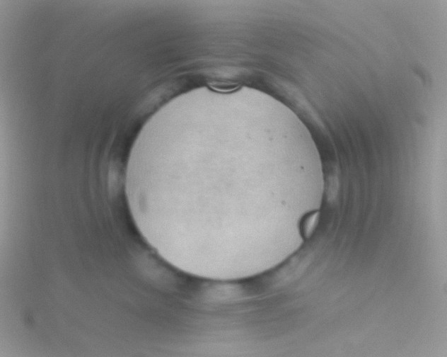 X0000115410476200911241331