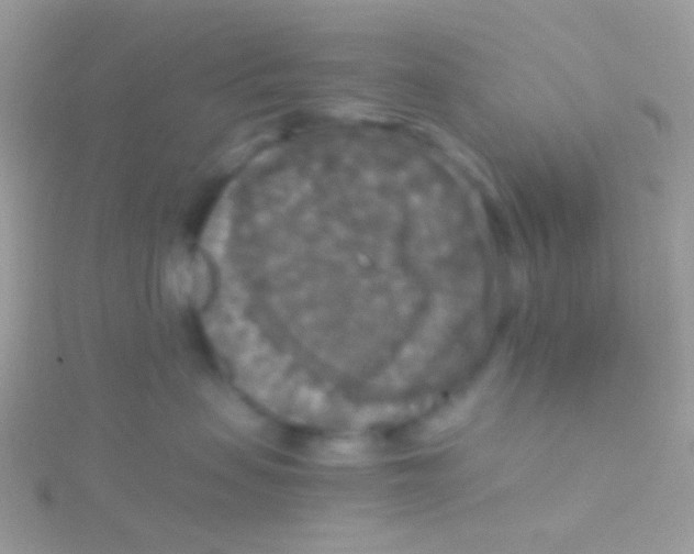 X0000115410479200911241331