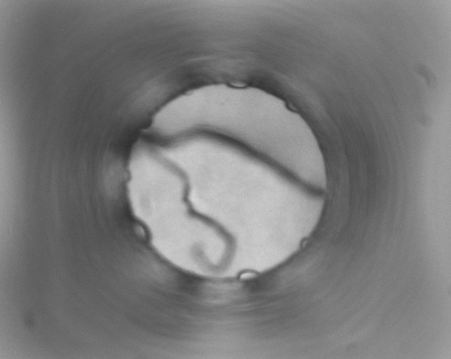 X0000115410480200911241331