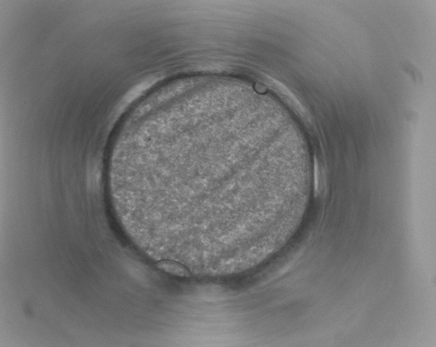 X0000115410483200911241331