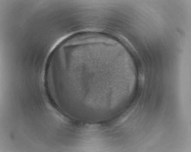 X0000115410484200911241331