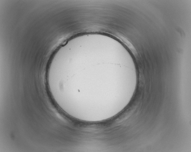 X0000115410485200911241331