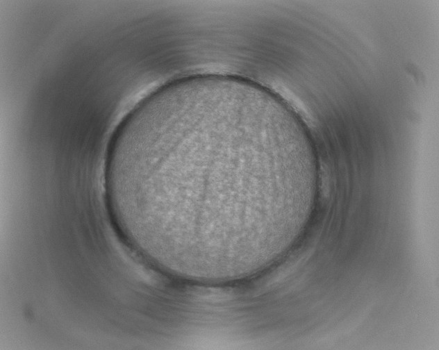 X0000115410486200911241331