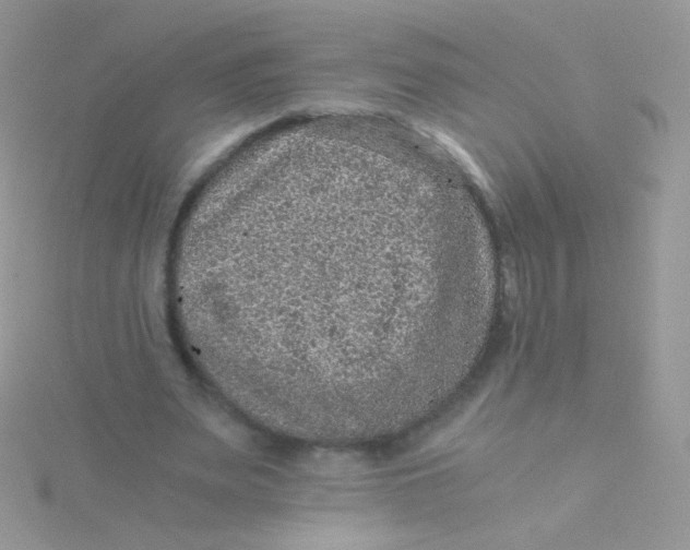 X0000115410487200911241331