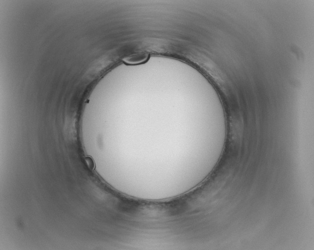 X0000115410489200911241331