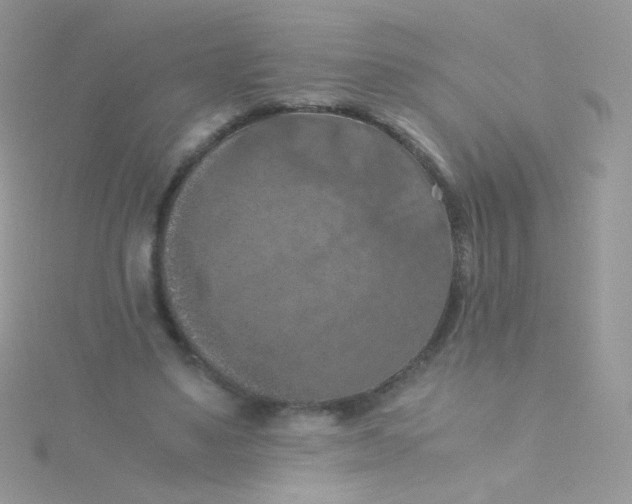 X0000115410491200911241331